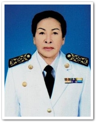 Chief Executive of the SAO